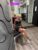 melinaescort.gr
